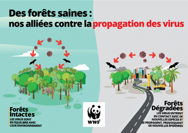 WWF infografica foreste landscape FR