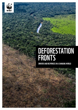 Full report Deforestation fronts drivers and responses in a changing world