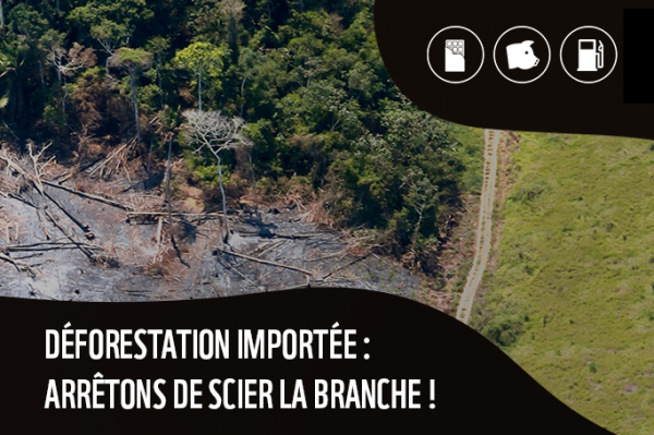 btn deforestation fr