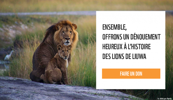 WWF lion cta FR