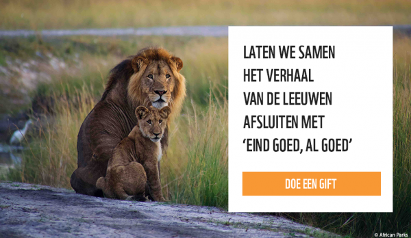 WWF lion cta NL